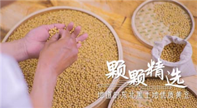 标题:永记和味 豆浆油条
浏览次数:601
发表时间:2023-06-01