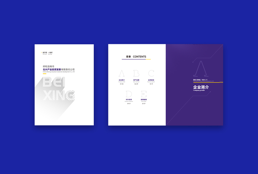 标题:北兴公司
浏览次数:3495
发表时间:2024-11-02